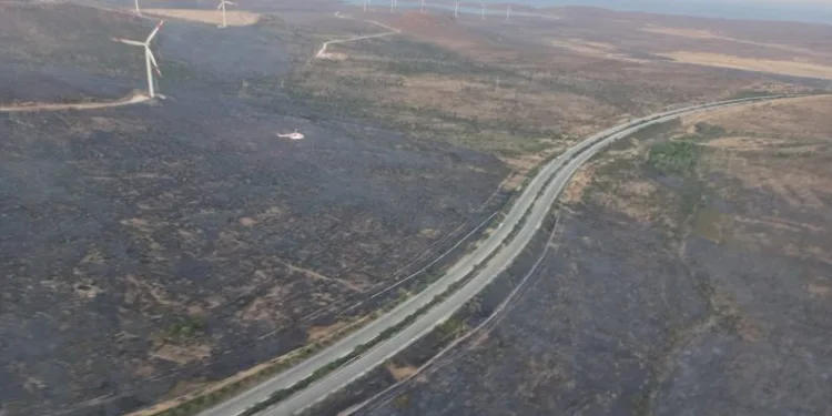 Çeşme yangınları kısmi kontrol altında