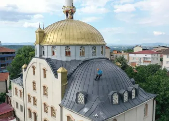 Bursa’da yuvadan düşen leylek yavruları kurtarıldı