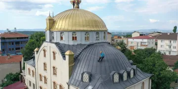 Bursa’da yuvadan düşen leylek yavruları kurtarıldı
