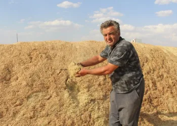 Çiftçilerin kış hazırlığı şimdiden başladı