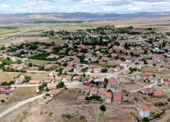 Bu belde de her hanenin bir dikili ağacı var