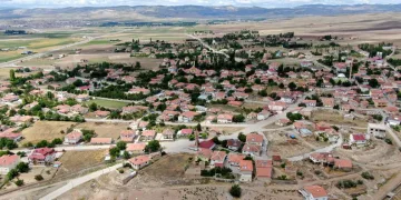 Bu belde de her hanenin bir dikili ağacı var