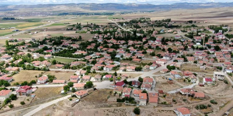 Bu belde de her hanenin bir dikili ağacı var