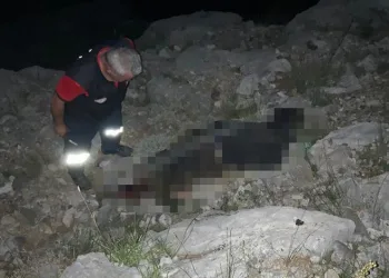 Mersin’de kayıp çobanın cesedi bulundu