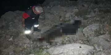 Mersin’de kayıp çobanın cesedi bulundu