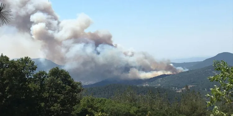 Balıkesir Kepsut’ta orman yangını