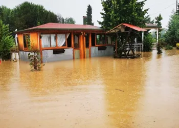 Ordu’da dereler taştı hayvanlar telef oldu