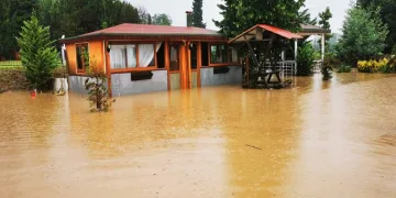 Ordu’da dereler taştı hayvanlar telef oldu