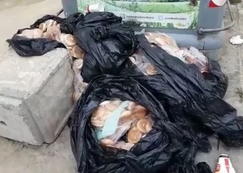 15 poşet ekmeği çöpe bıraktılar
