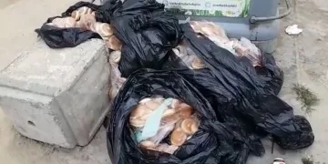 15 poşet ekmeği çöpe bıraktılar