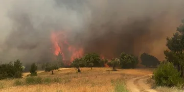 Manisa’daki yangının verdiği zarar açıklandı