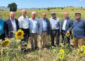CHP tırtıl istilasının yaşandığı Yenişehir’de