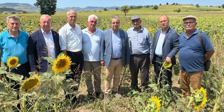 CHP tırtıl istilasının yaşandığı Yenişehir’de