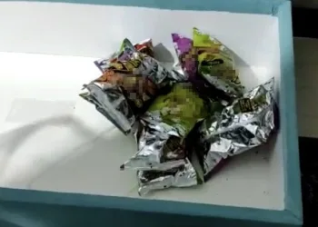 Cips paketinde uyuşturucu satışına operasyon