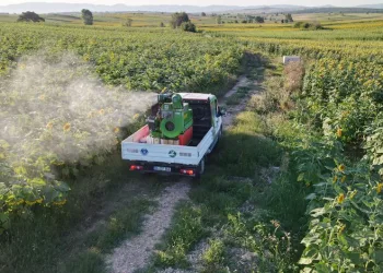 Bursa Büyükşehir’den çayır tırtılı mesaisi