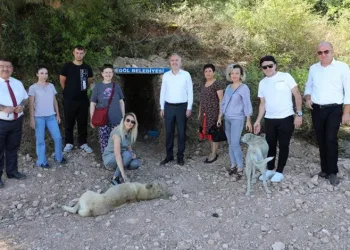 İnegöl’de sokak canlıları için doğal yaşam alanları