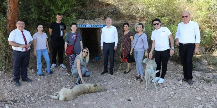 İnegöl’de sokak canlıları için doğal yaşam alanları