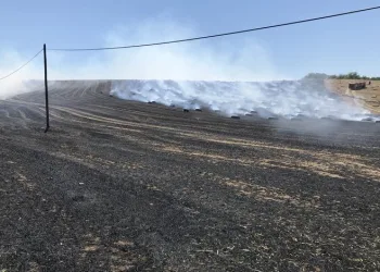 Tekirdağ’da 40 dekar tarla yandı