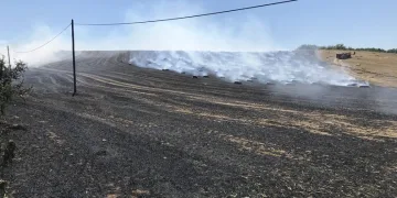 Tekirdağ’da 40 dekar tarla yandı