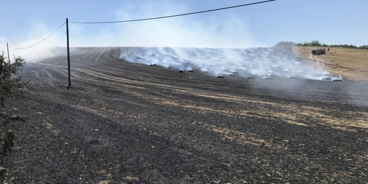 Tekirdağ’da 40 dekar tarla yandı