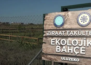BUÜ personeli doğa ile bütünleşiyor