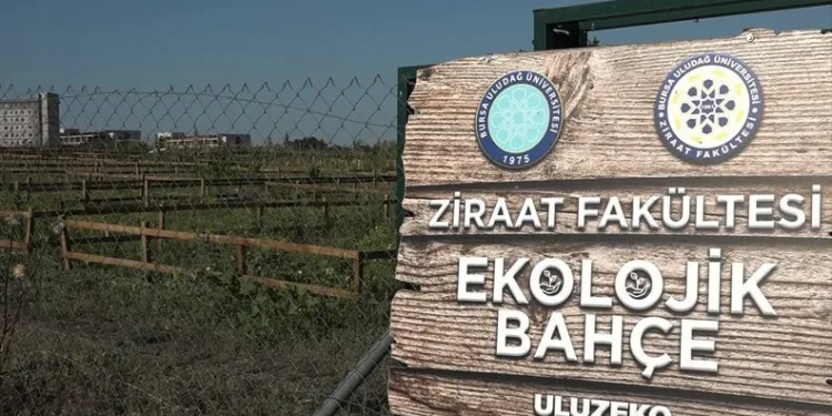 BUÜ personeli doğa ile bütünleşiyor