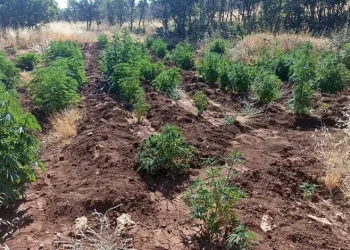 Diyarbakır’da Eren Abluka-28 operasyonu başlatıldı