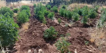 Diyarbakır’da Eren Abluka-28 operasyonu başlatıldı