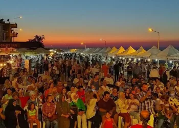Bursa’da Tirilye Zeytin Şenliği başladı