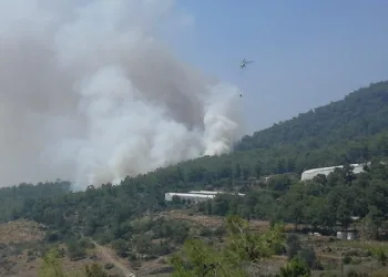 Mersin Anamur’da orman yangını