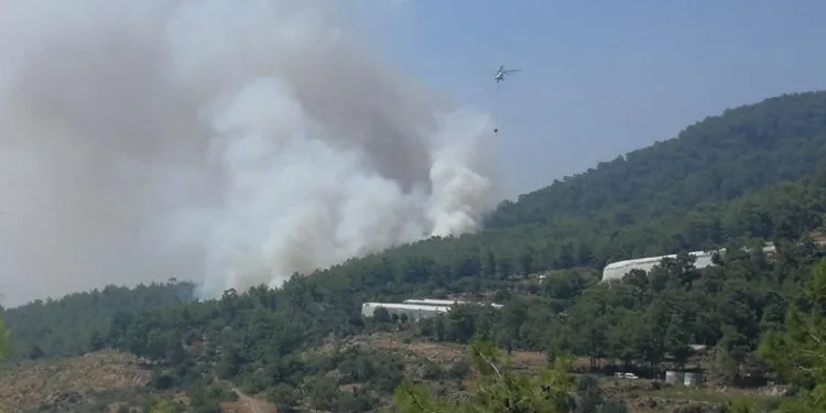 Mersin Anamur’da orman yangını