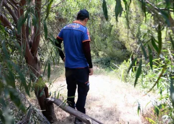 Adana’da kayıp kadının cesedi bulundu