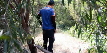 Adana’da kayıp kadının cesedi bulundu