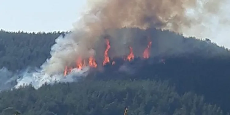Burdur’da orman yangını