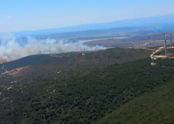 İzmir’de makilik ve otluk alanda yangın