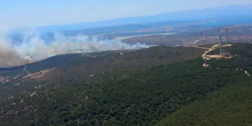 İzmir’de makilik ve otluk alanda yangın