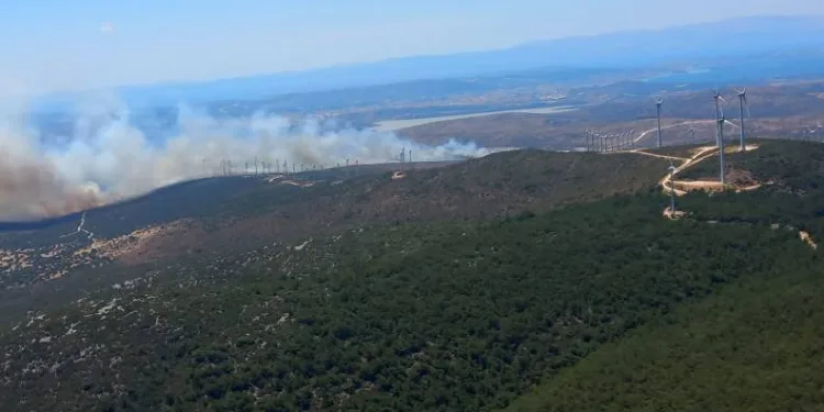 İzmir’de makilik ve otluk alanda yangın
