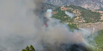Adana’da orman yangını