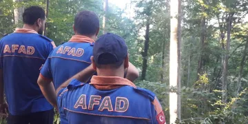 Kestiği ağacın altında kaldı