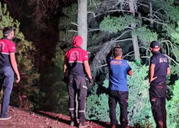 Heyecan olsun diye asılsız ihbarda bulundular
