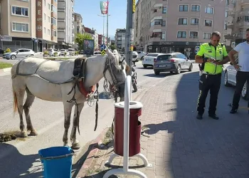 Bursa’da başıboş at trafiği altüst etti
