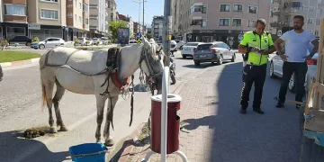 Bursa’da başıboş at trafiği altüst etti