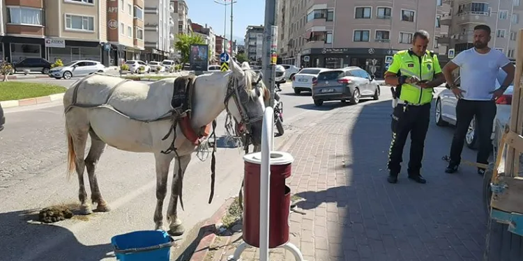 Bursa’da başıboş at trafiği altüst etti