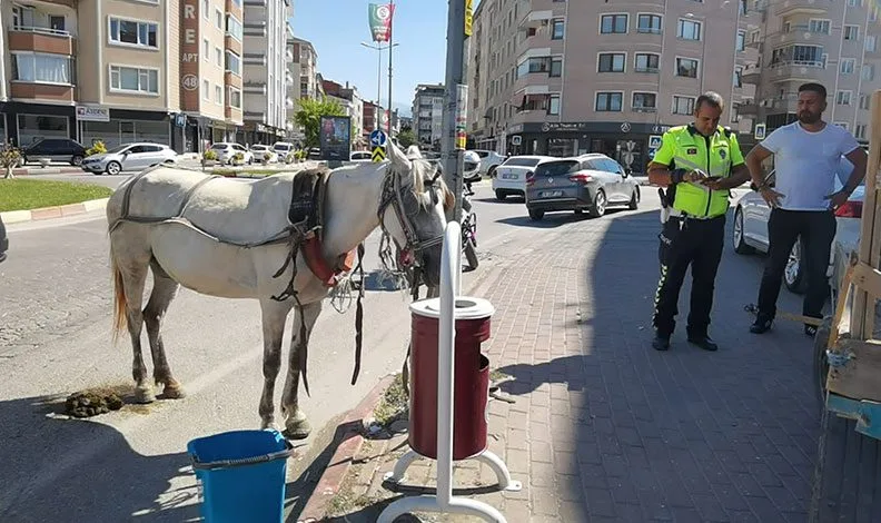 Bursa’da başıboş at trafiği altüst etti