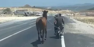 Bursa’da atı motosiklete bağlayarak götürdü