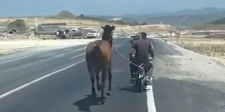 Bursa’da atı motosiklete bağlayarak götürdü