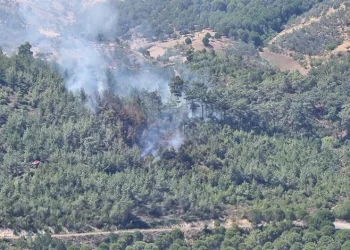 Balıkesir’de korkutan orman yangını