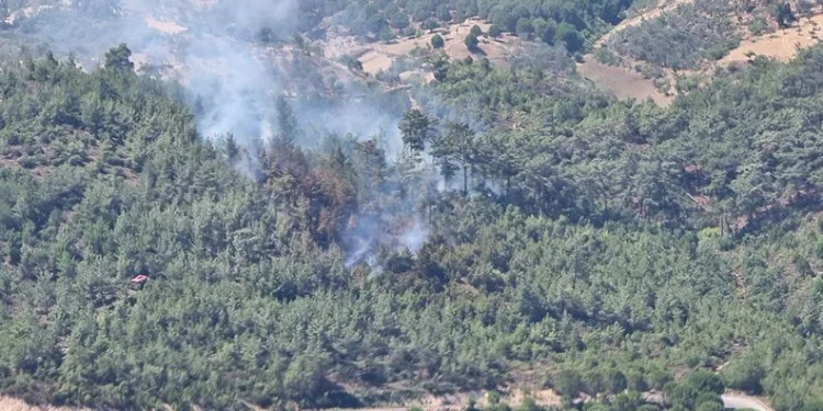 Balıkesir’de korkutan orman yangını