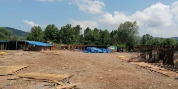 56 köpeğin telef olduğu barınak yıkıldı