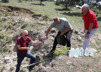 Bolu’da zehirlenenlerin sayısı artıyor